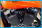 DBC169 | Harley-Davidson “G Spot” Horn Cover 2002 To 2023