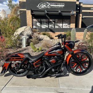 Side profile of a Harley-Davidson Softail with custom FL-style swing arm, model DBC191, showcasing custom wheels and paint.